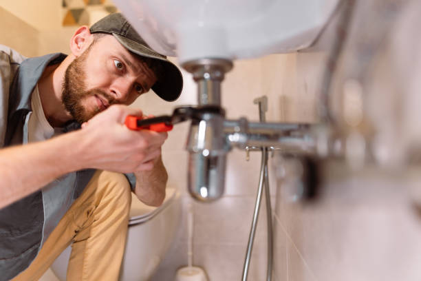 Best Best Plumbers Near Me  in Tremont, IL
