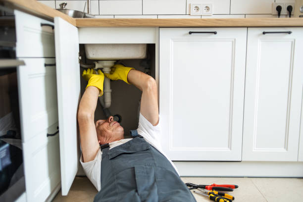 Best Water Softener Installation  in Tremont, IL