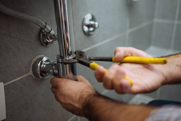  Tremont, IL Plumbing Pros