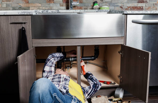  Tremont, IL Plumbing Pros